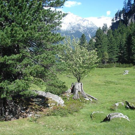 Gastehaus Rieser Hotel Ried im Zillertal Esterno foto