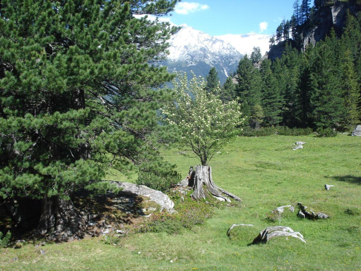 Gastehaus Rieser Hotel Ried im Zillertal Esterno foto